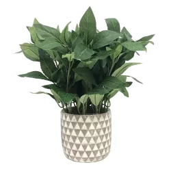 Sonoma Goods For Life® Sonoma Faux House Plant