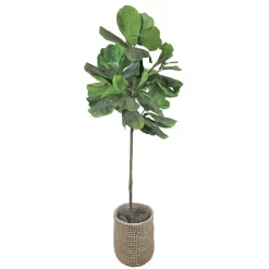 Sonoma Goods For Life® Artificial Fiddle Leaf Fig Floor Decor