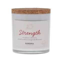 Sonoma Goods For Life® Spa Strength 3-Wick Candle Jar