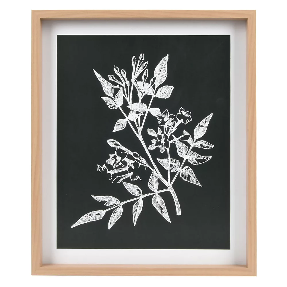 Sonoma Goods For Life® Printed Wood Frame Reverse Botanical Wall Decor