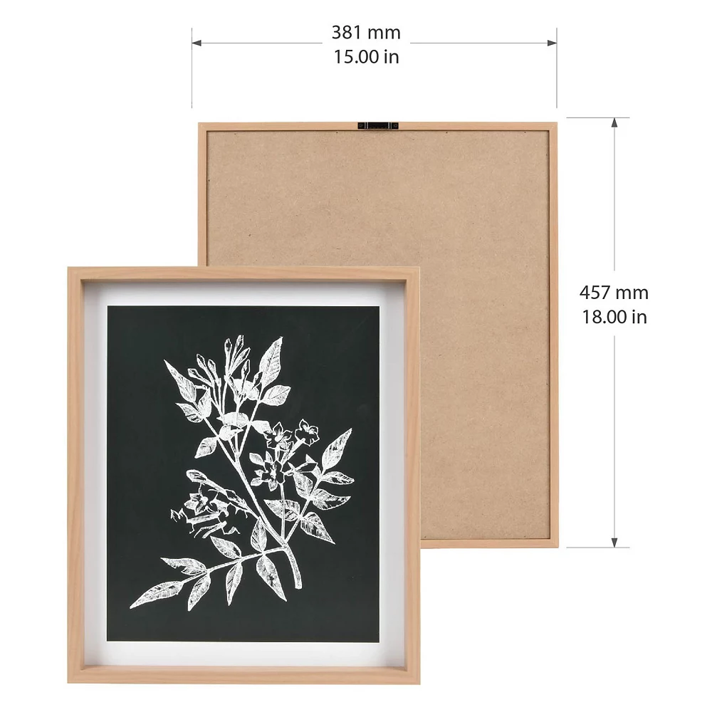 Sonoma Goods For Life® Printed Wood Frame Reverse Botanical Wall Decor - Image 4
