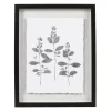 Sonoma Goods For Life® Botanical Shadowbox Framed Wall Art