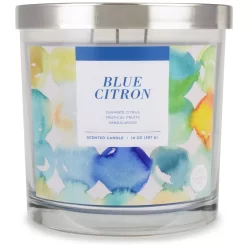 Sonoma Goods For Life® Blue Citron 14-oz. Candle Jar