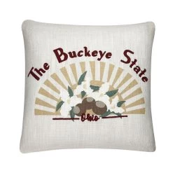 Sonoma Goods For Life® Ohio Feather Fill Throw Pillow