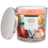 Sonoma Goods For Life® Tropic Orange Crush 14-oz. Candle Jar