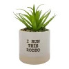 Sonoma Goods For Life® I Run This Rodeo Artificial Potted Plant Table Decor