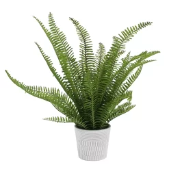 Sonoma Goods For Life® Faux Fern In Ceramic Pot