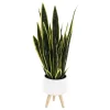 Sonoma Goods For Life® Faux Snake Plant In Midcentry Modern Pot