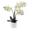 Sonoma Goods For Life® Faux Orchid In Ceramic Pot Floor Decor