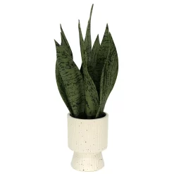 Sonoma Goods For Life® Faux Snake Plant In Ceramic Vessel