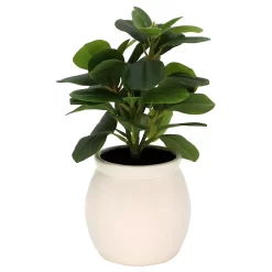 Sonoma Goods For Life® Artificial Greenery In Ceramic Jar