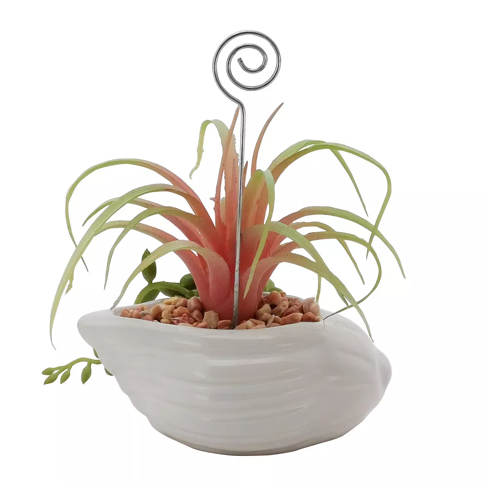 Sonoma Goods For Life® Air Plant Artificial Greenery Photo Clip - Image 2