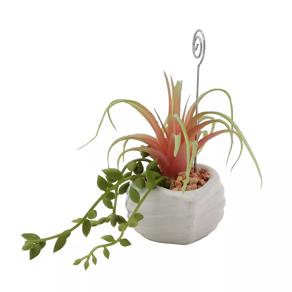 Sonoma Goods For Life® Air Plant Artificial Greenery Photo Clip - Image 4