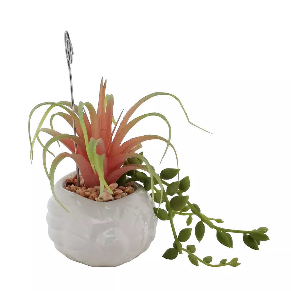 Sonoma Goods For Life® Air Plant Artificial Greenery Photo Clip - Image 6