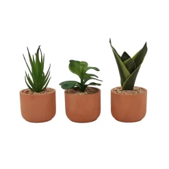 Sonoma Goods For Life® 3 Pack Mini Artificial Succulent Plants