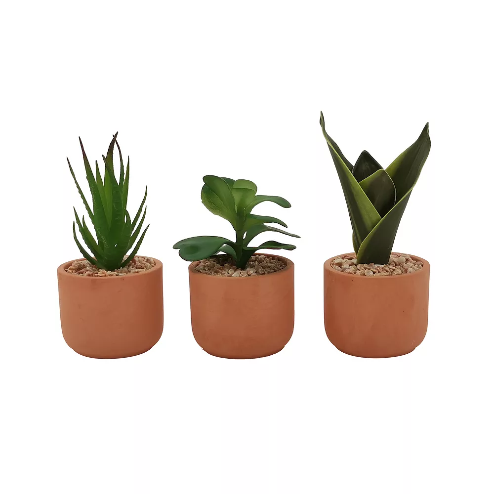 Sonoma Goods For Life® 3 Pack Mini Artificial Succulent Plants
