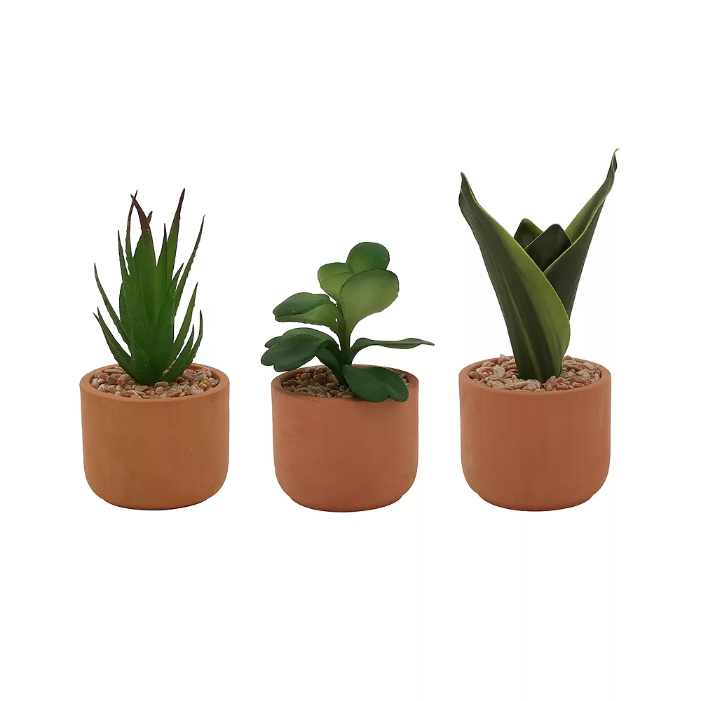 Sonoma Goods For Life® 3 Pack Mini Artificial Succulent Plants - Image 2