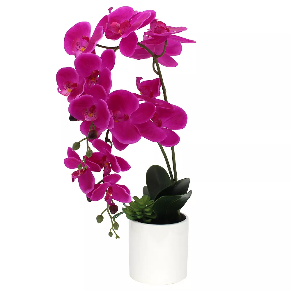 Sonoma Goods For Life® Artificial Fuschia Orchid Plant Table Decor