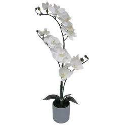 Sonoma Goods For Life® Orchid Artificial Plant Floor Decor