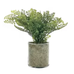 Sonoma Goods For Life® Artificial Fern In Glass Pot