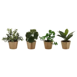 Sonoma Goods For Life® 4-Pack Mini Greenery